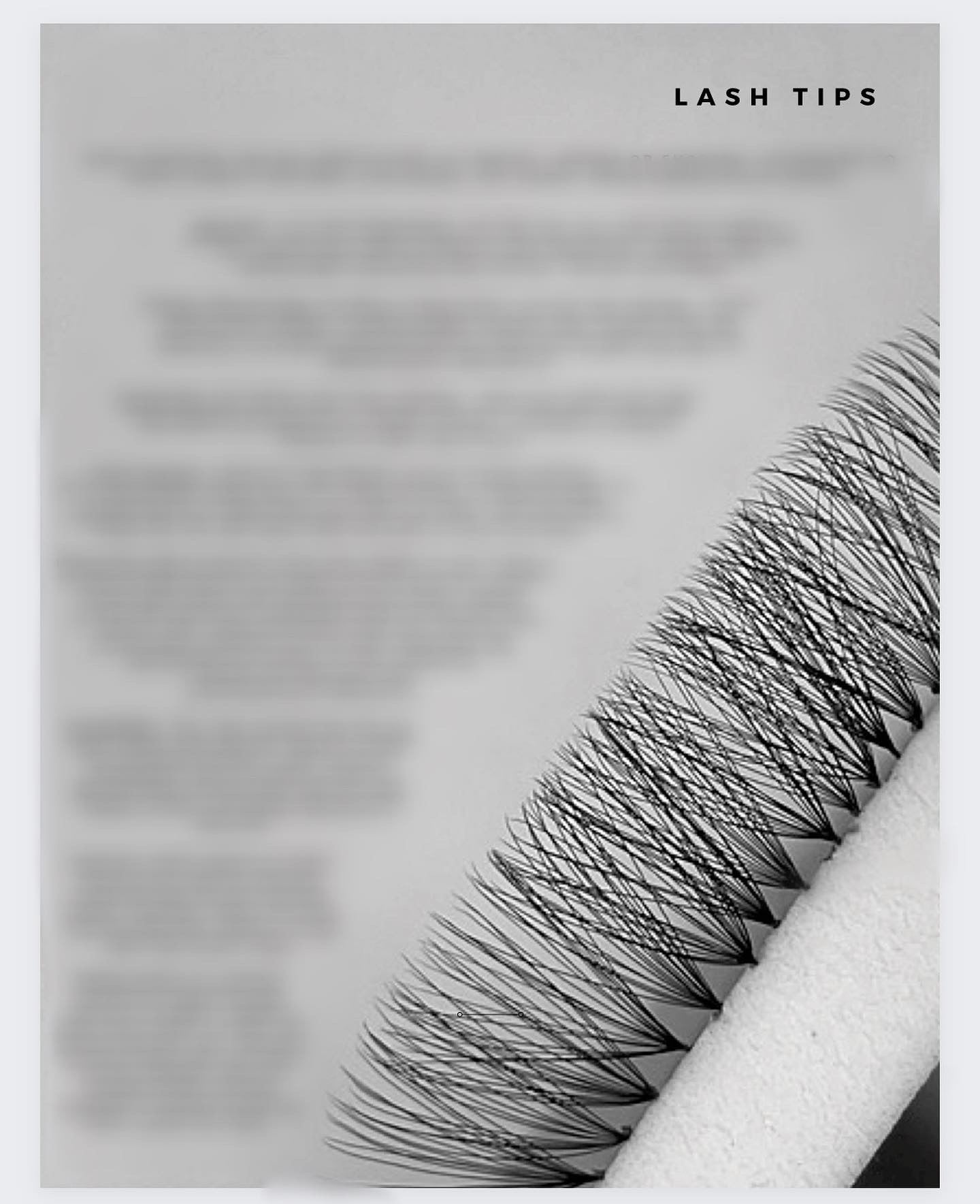 LASH MAP EBOOK GUIDE (2021)